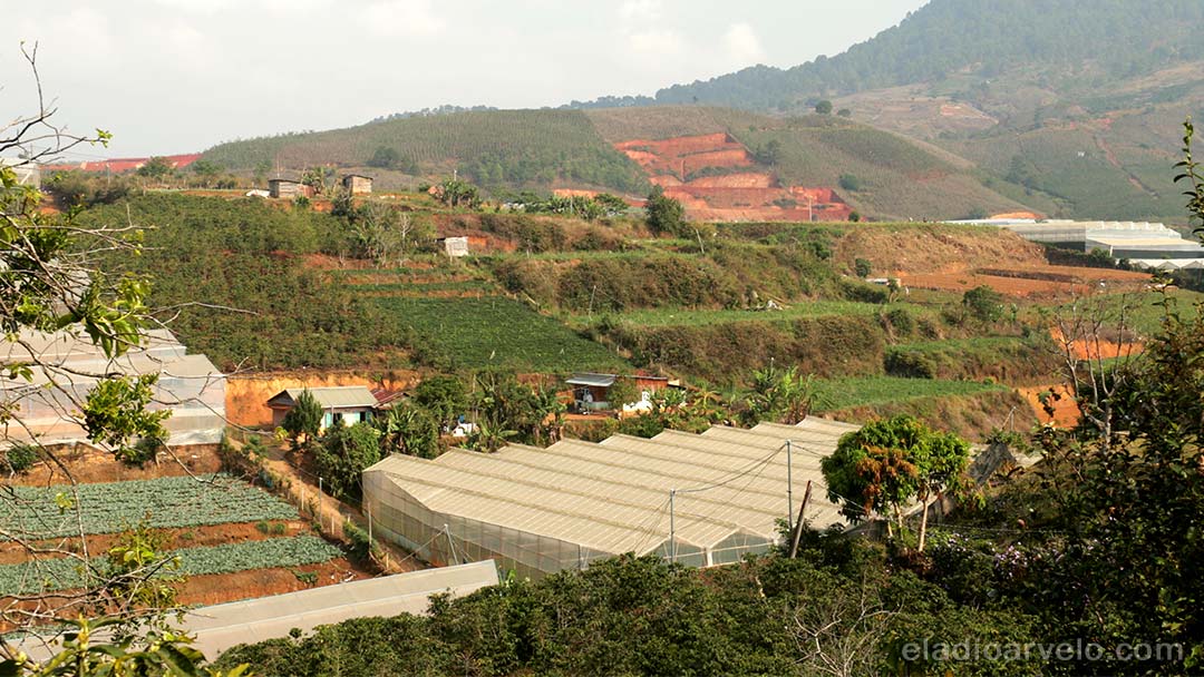 Coffee plantation greenhouses on the hills of Da Lat.
